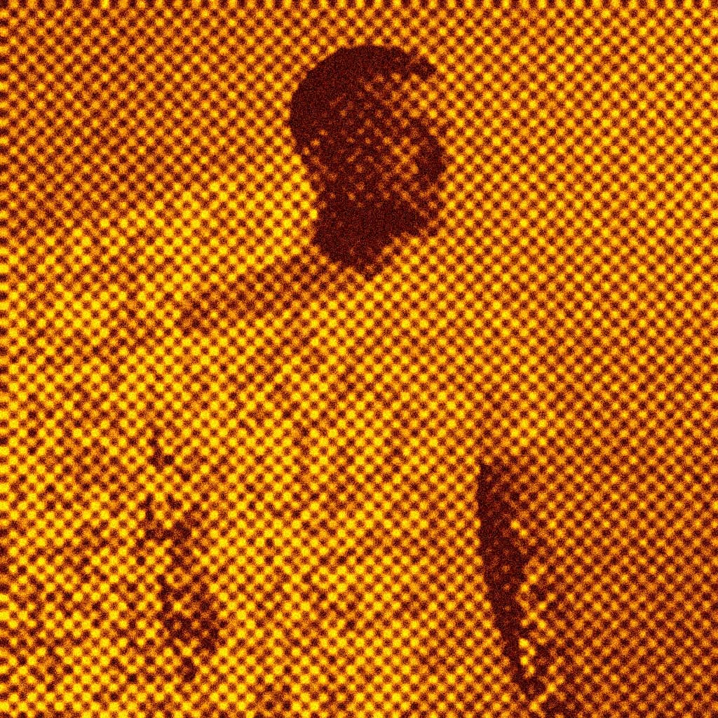 wally-gunn